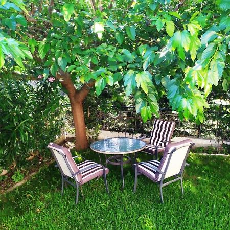 House With Garden Netflix Villa Nea Kerasia Exteriör bild