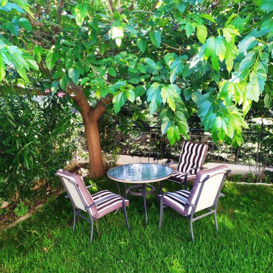 House With Garden Netflix Villa Nea Kerasia Exteriör bild